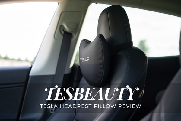 TESBEAUTY Tesla Headrest Pillow Review