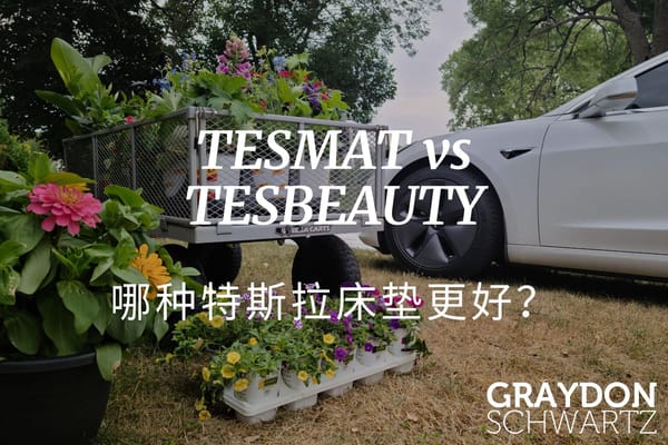 TESMAT 与 TESBEAUTY - 哪种特斯拉床垫更好？